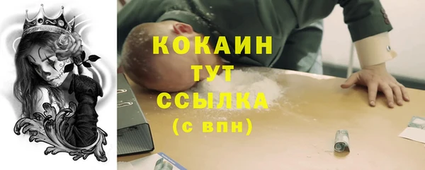 гашик Новодвинск