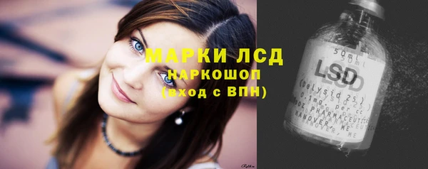 гашик Новодвинск