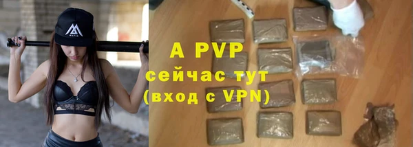 гашик Новодвинск