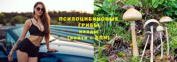 спиды Новозыбков