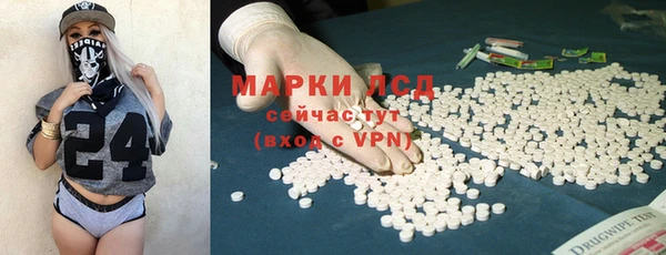 гашик Новодвинск
