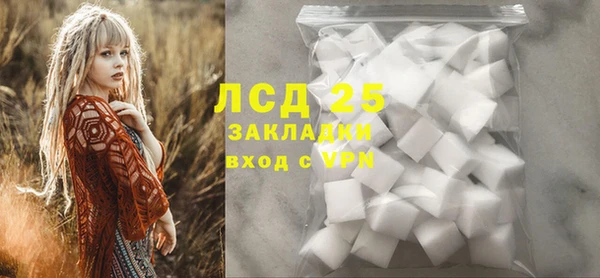 гашик Новодвинск