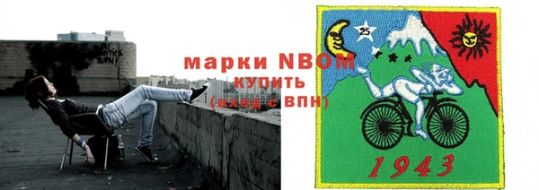 гашик Новодвинск